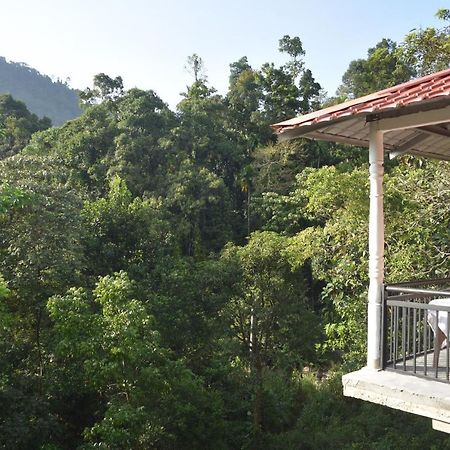 White Villa Kitulgala Bagian luar foto
