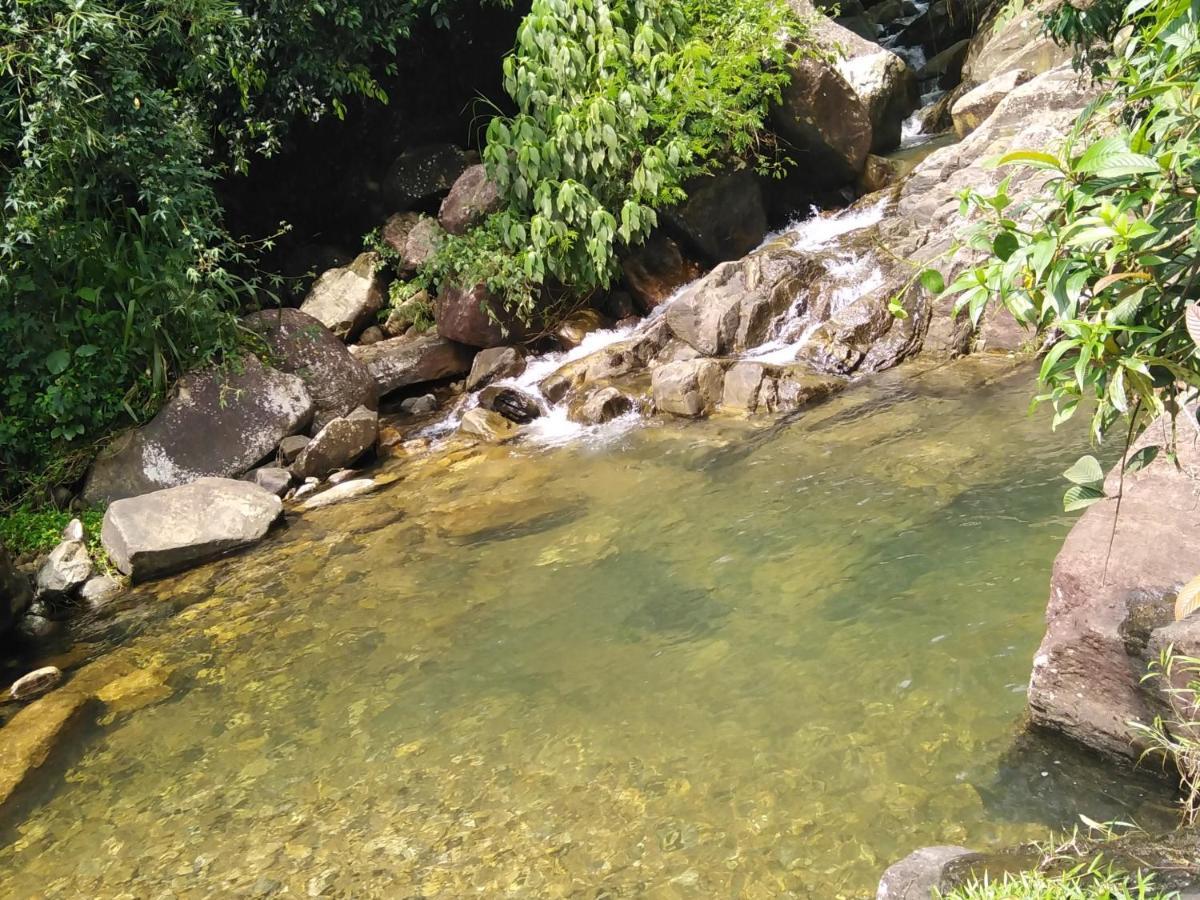 White Villa Kitulgala Bagian luar foto