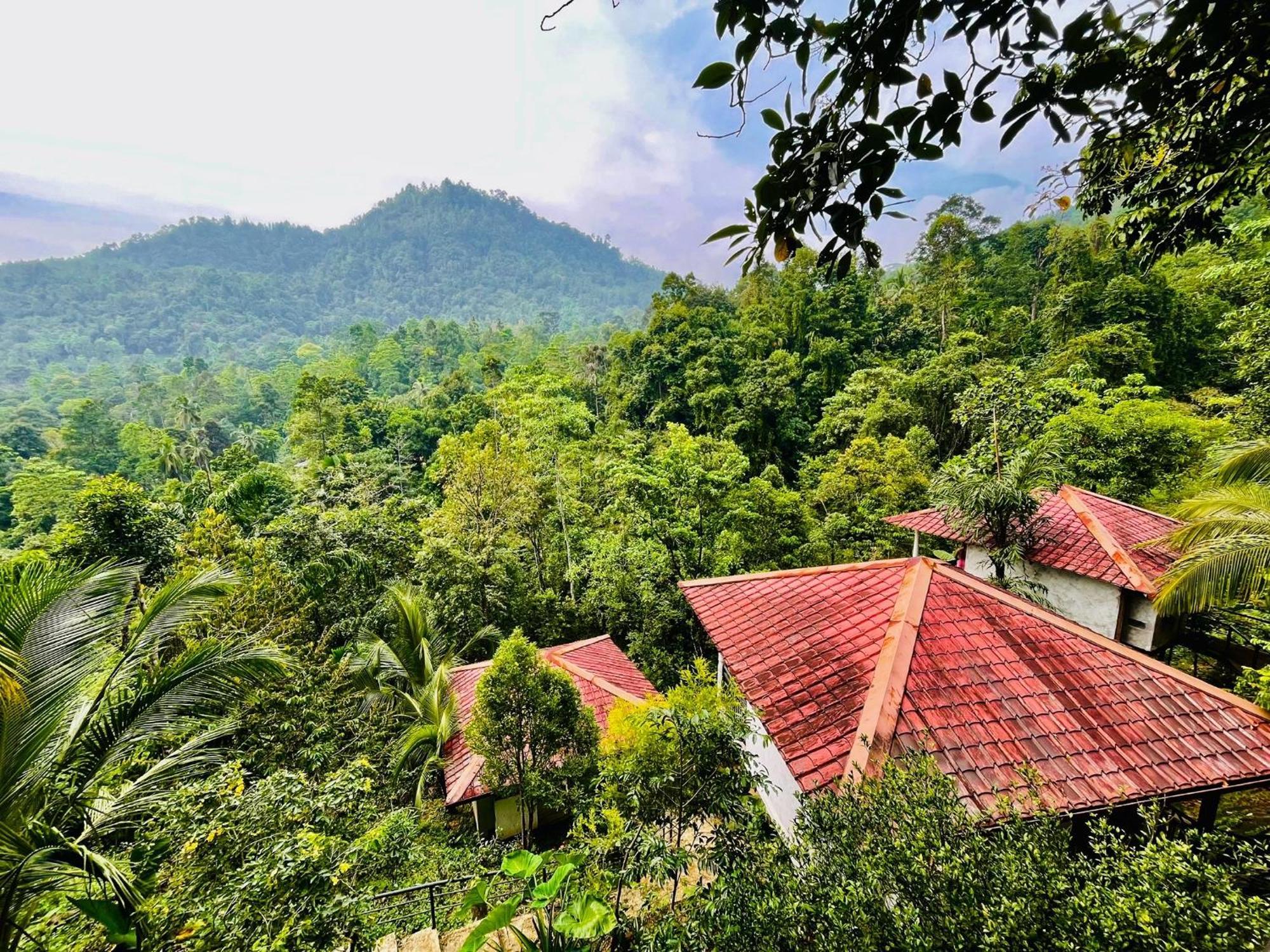 White Villa Kitulgala Bagian luar foto
