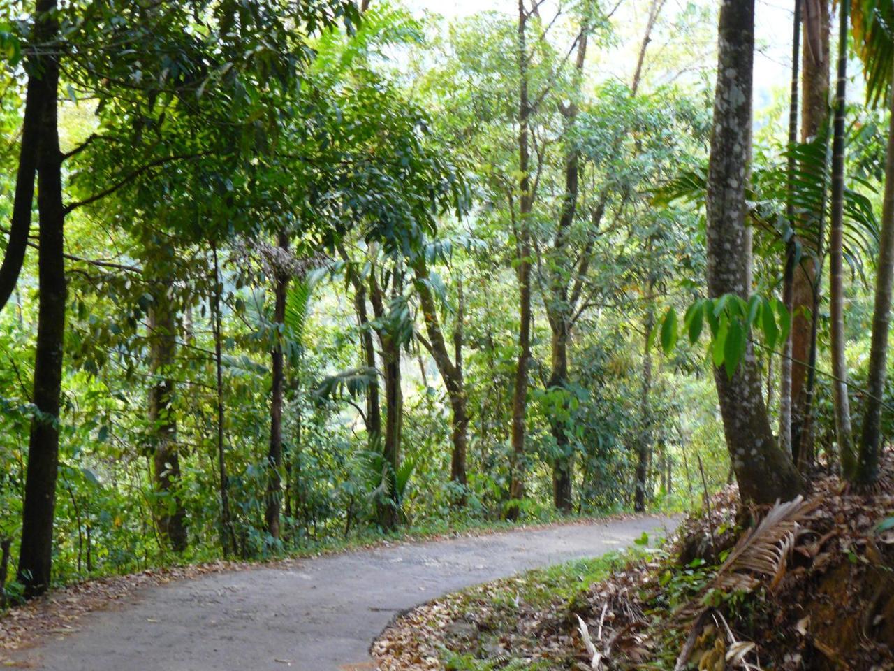 White Villa Kitulgala Bagian luar foto