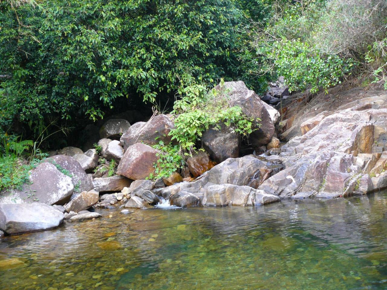 White Villa Kitulgala Bagian luar foto